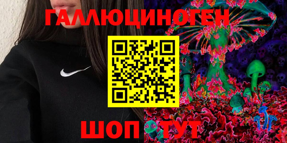 Александров  Галлюциногенные грибы мицелий  Вход с VPN 