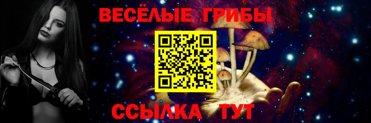 Псилоцибиновые грибы GOLDEN TEACHER Александров